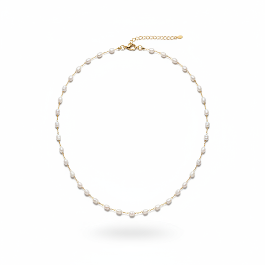 LD-SMR26-1020 white background